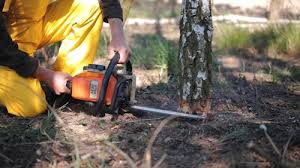 Best Aeration Services  in West Covina, CA